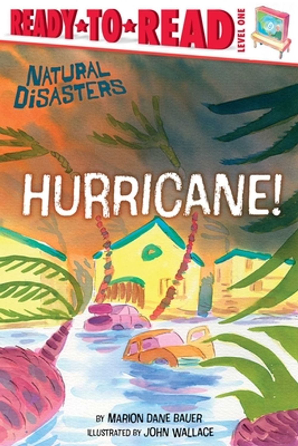 Hurricane! by Marion Dane Bauer - ISBN: 9798347102921