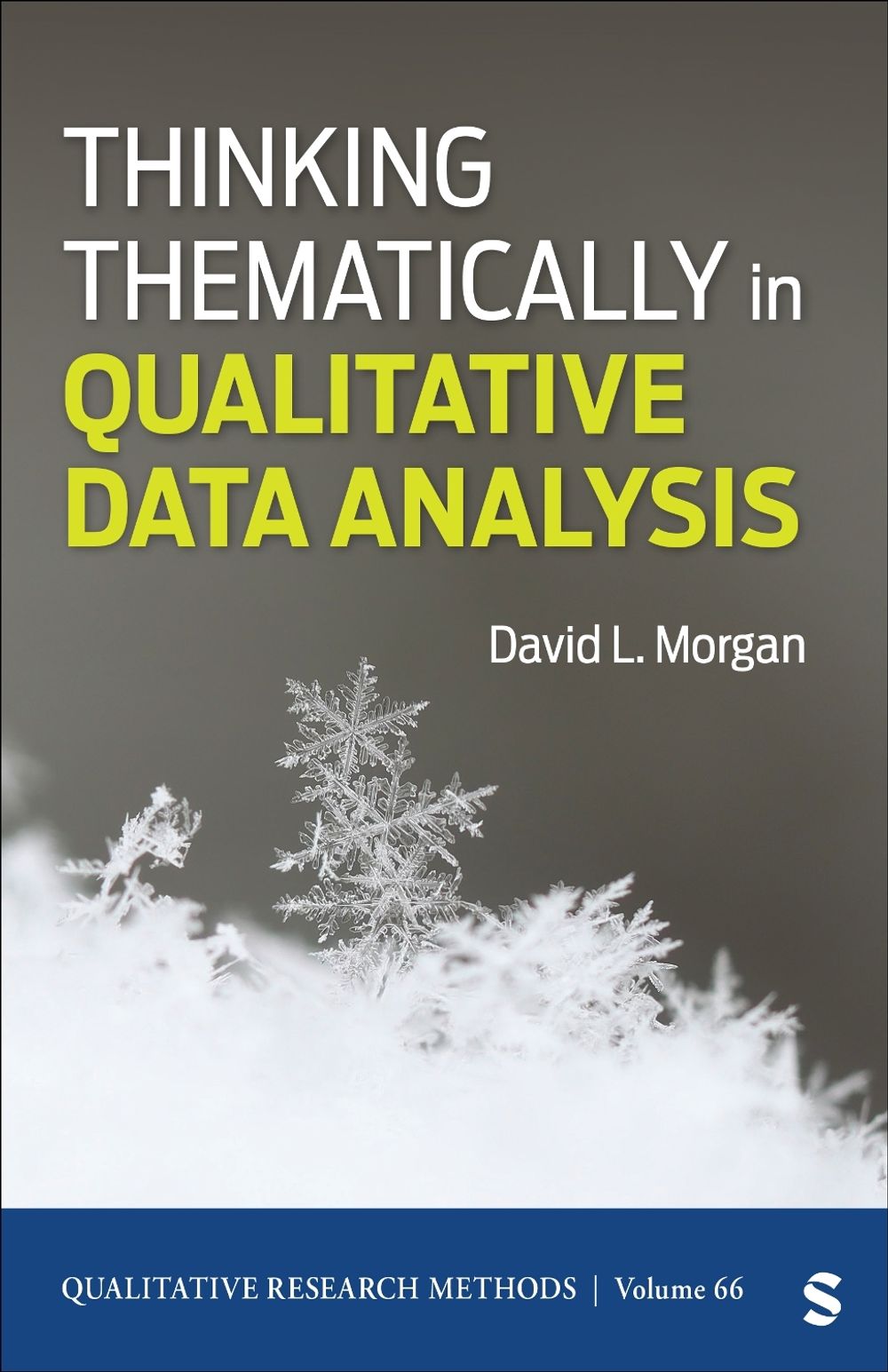 Thinking Thematically in Qualitative Data Analysis by David L. Morgan - ISBN: 9798348848040