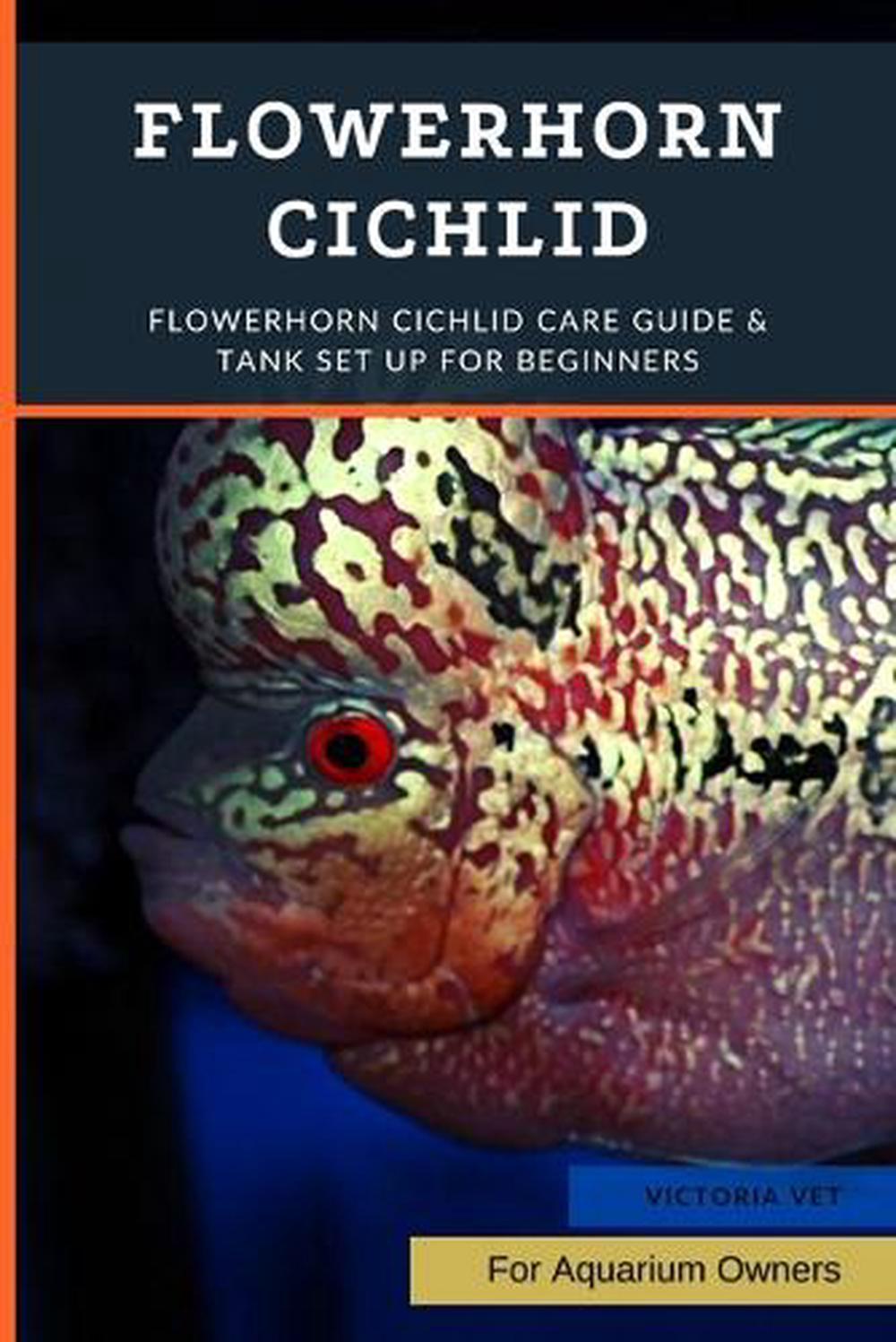 Flowerhorn Cichlid, 9798358546646
