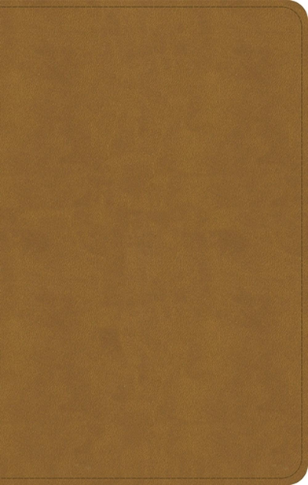 KJV Personal Size Bible, Camel Suedesoft Leathertouch, 9798384525318