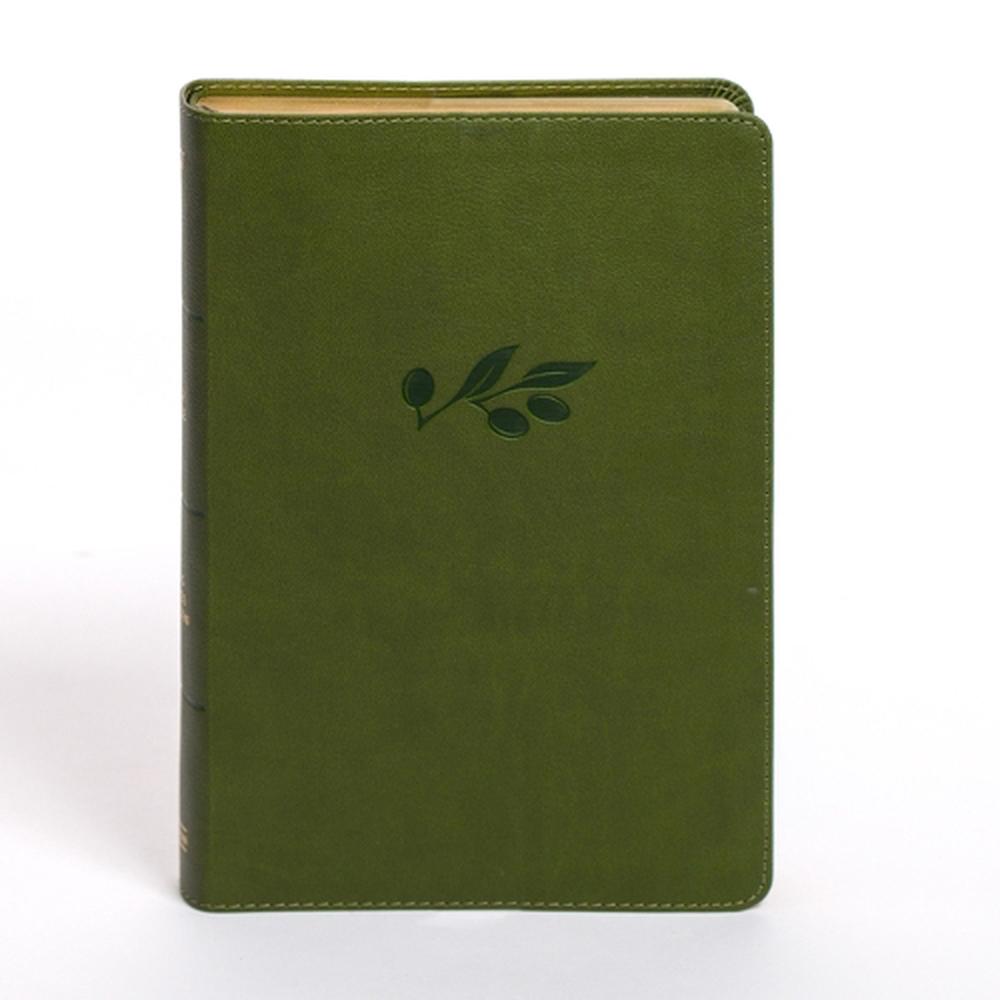 KJV Personal Size Giant Print Bible, Olive Leathertouch, 9798384525349
