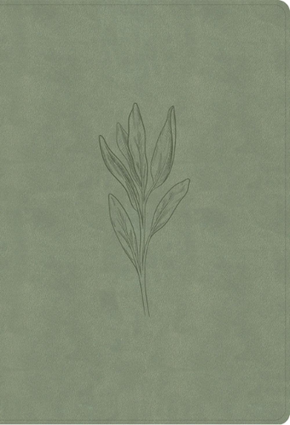 NASB Super Giant Print Reference Bible, Sage Suedesoft Leathertouch, Indexed, 9798384525417