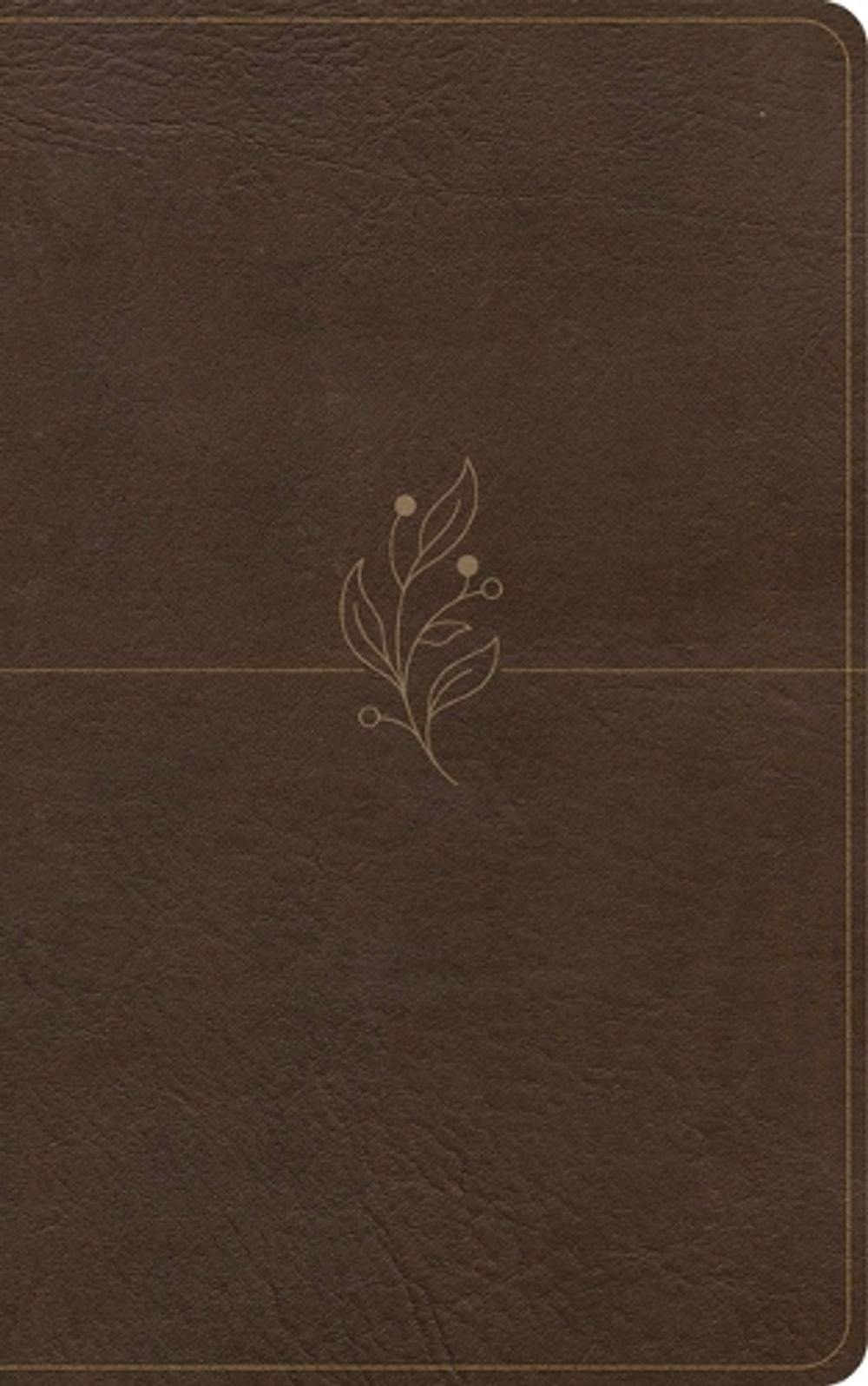 CSB Single-Column Personal Size Bible, Digital Study Edition, Brown Leathertouch by Csb Bibles by Holman - ISBN: 9798384533467