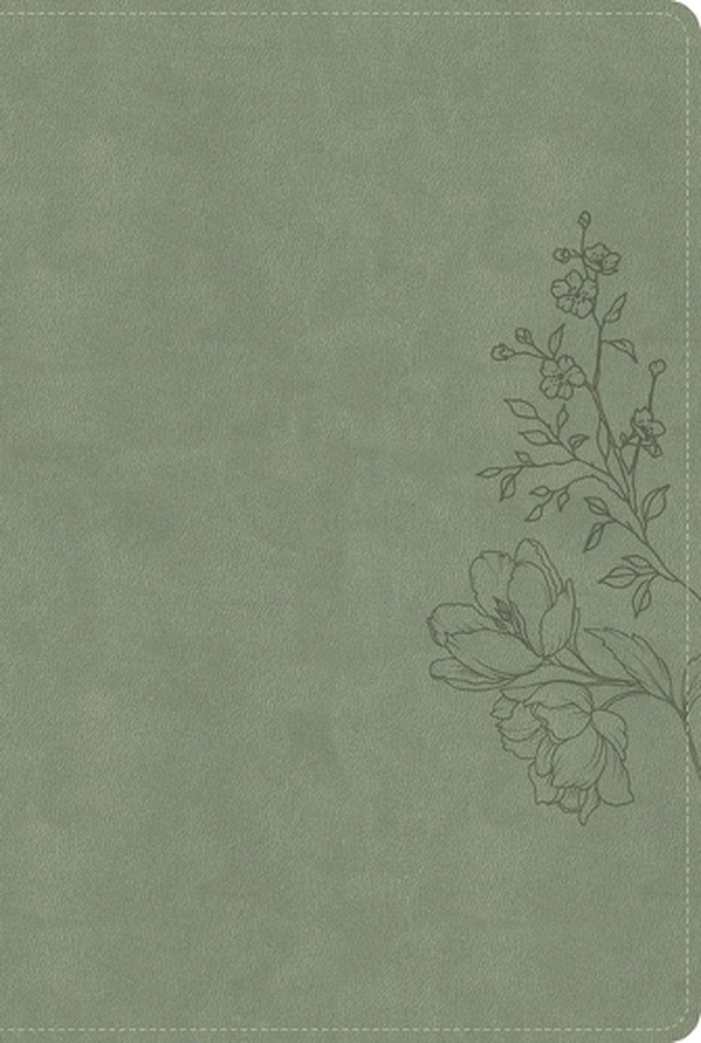 CSB Large Print Thinline Bible, Digital Study Edition, Sage Suedesoft Leathertouch, 9798384540762