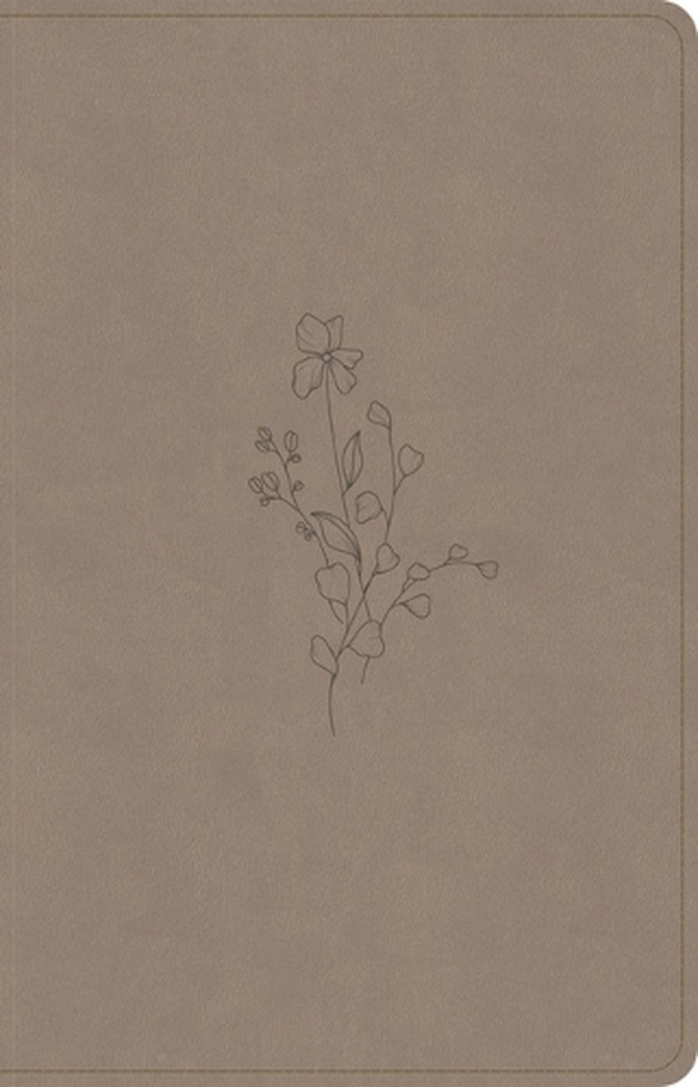 CSB Thinline Reference Bible, Digital Study Edition, Earth Suedesoft Leathertouch, 9798384540816