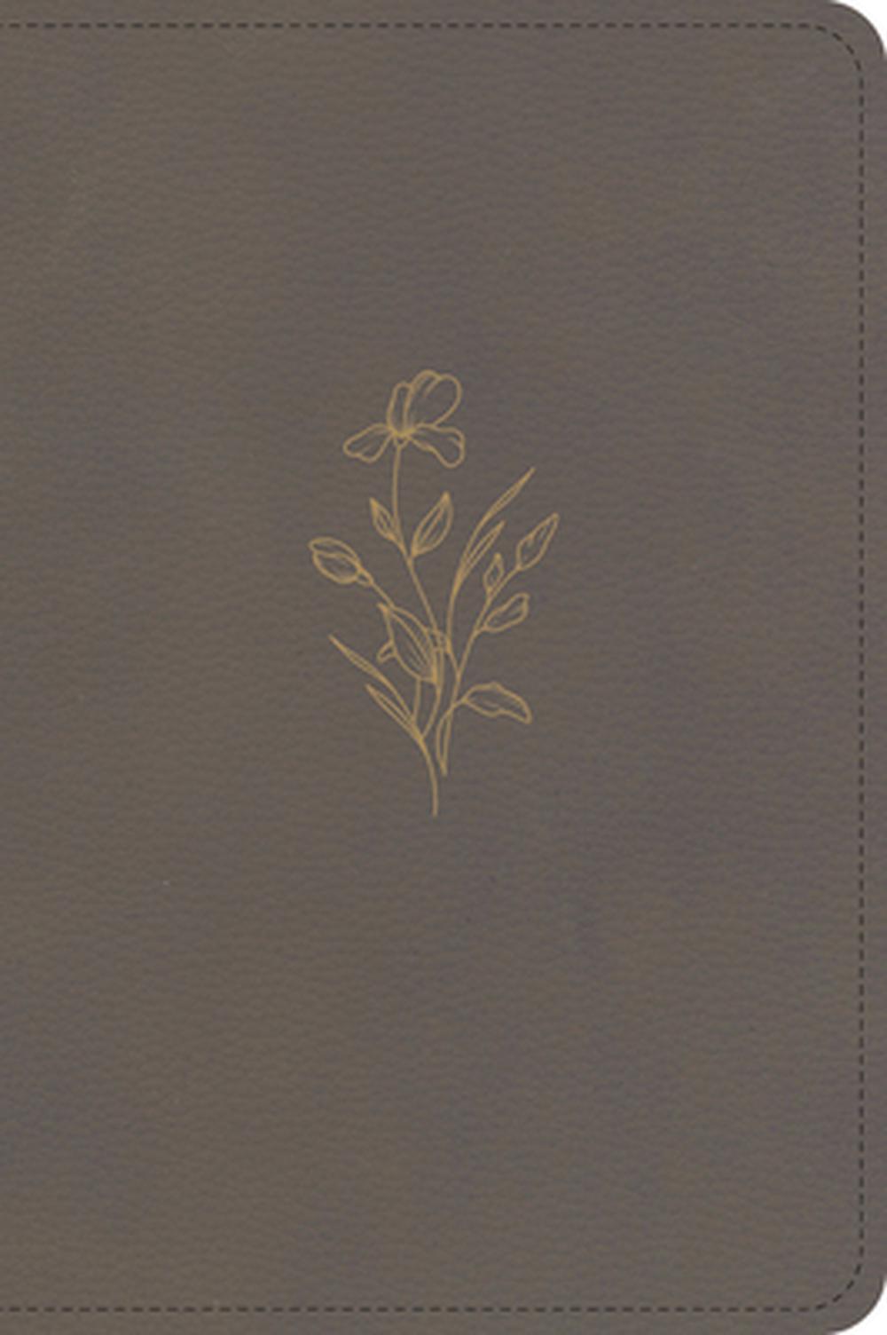 KJV Large Print Compact Reference Bible, Clay Leathertouch, 9798384546122