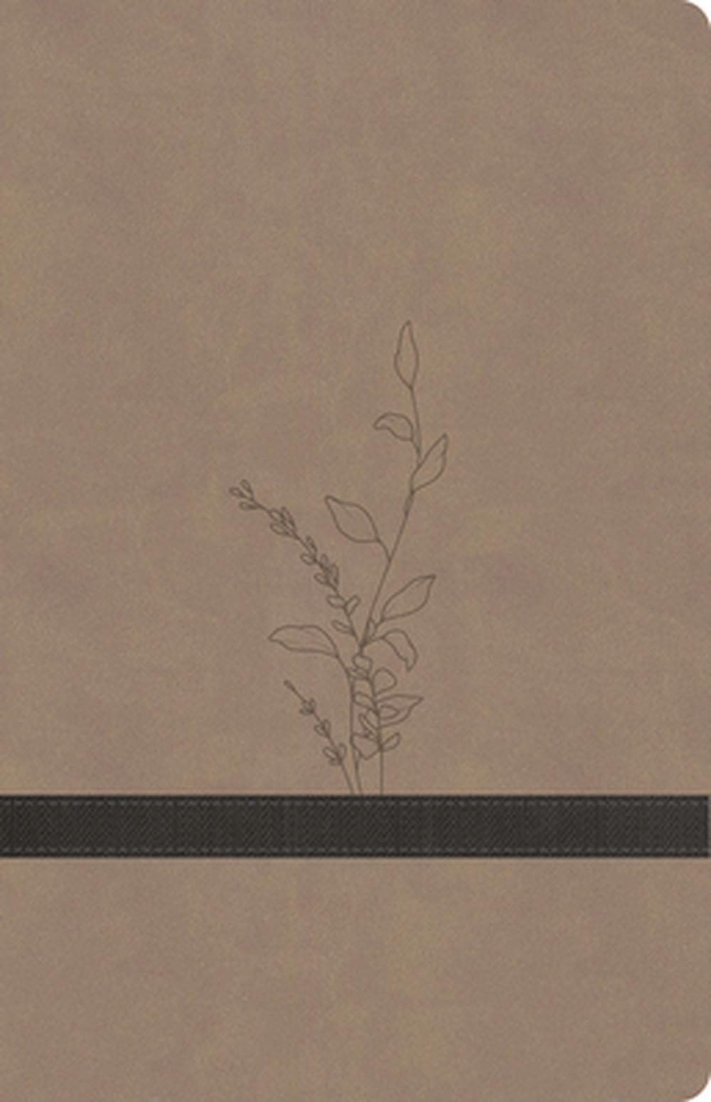 KJV Large Print Personal Size Reference Bible, Earthen Suedesoft Leathertouch, 9798384546146