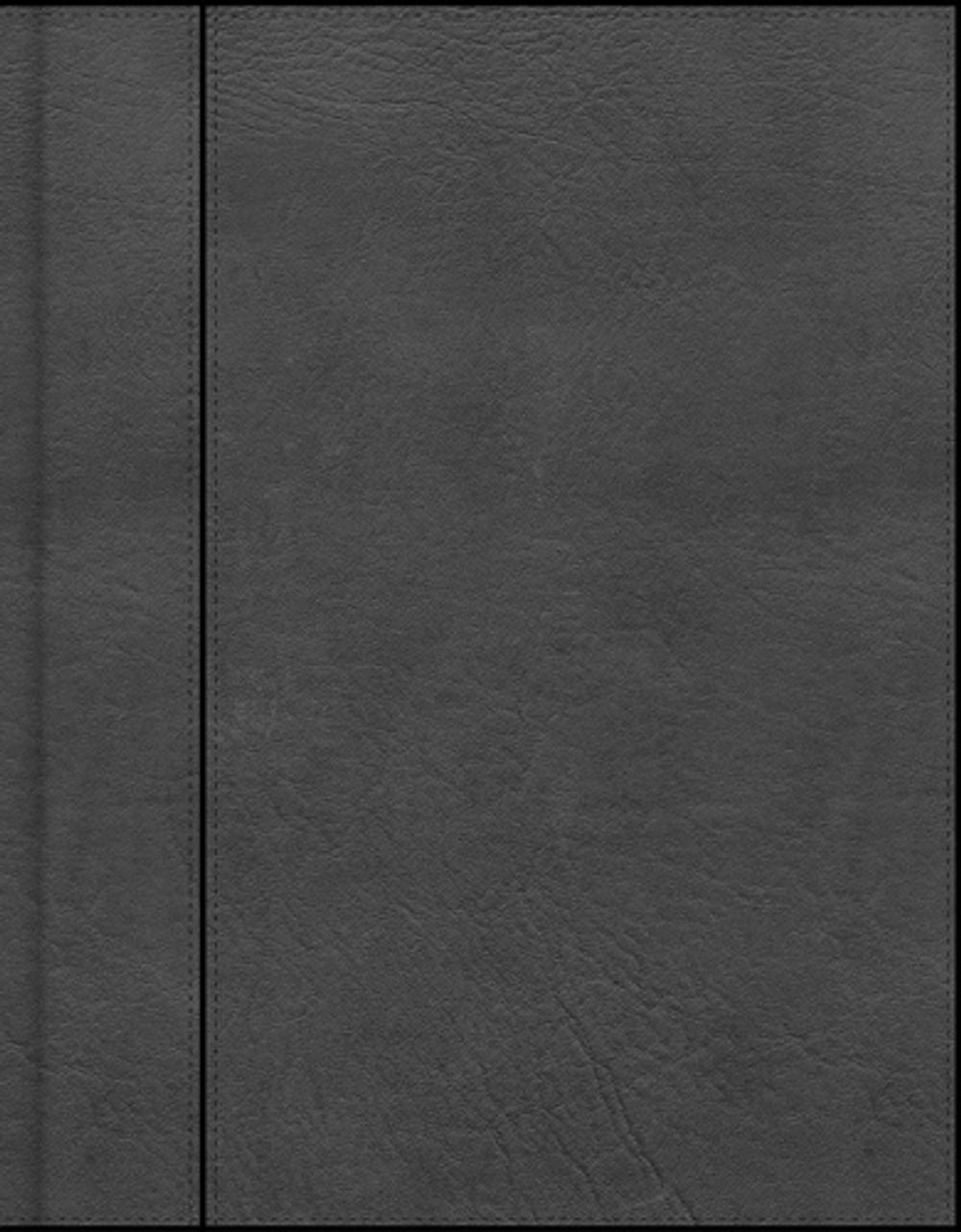CSB Notetaking Bible, Charcoal Leathertouch by Csb Bibles by Holman - ISBN: 9798384552789