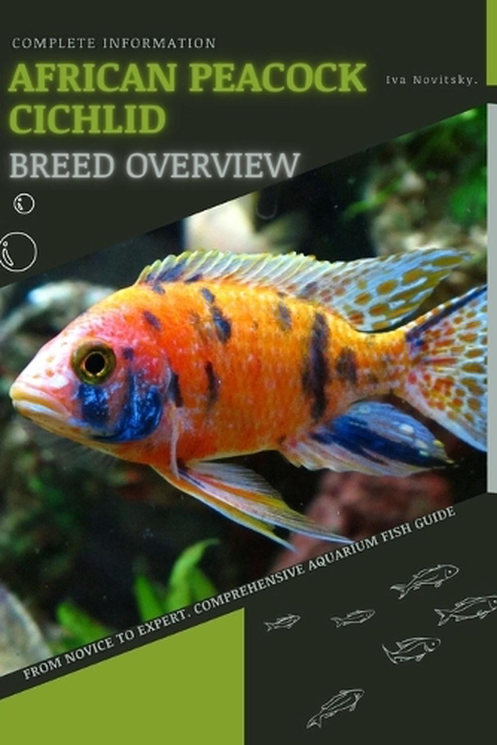 African Peacock Cichlid, 9798396792074