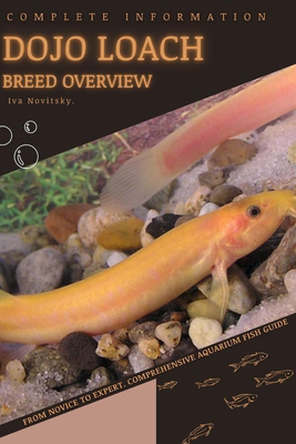 Dojo Loach, 9798397595506