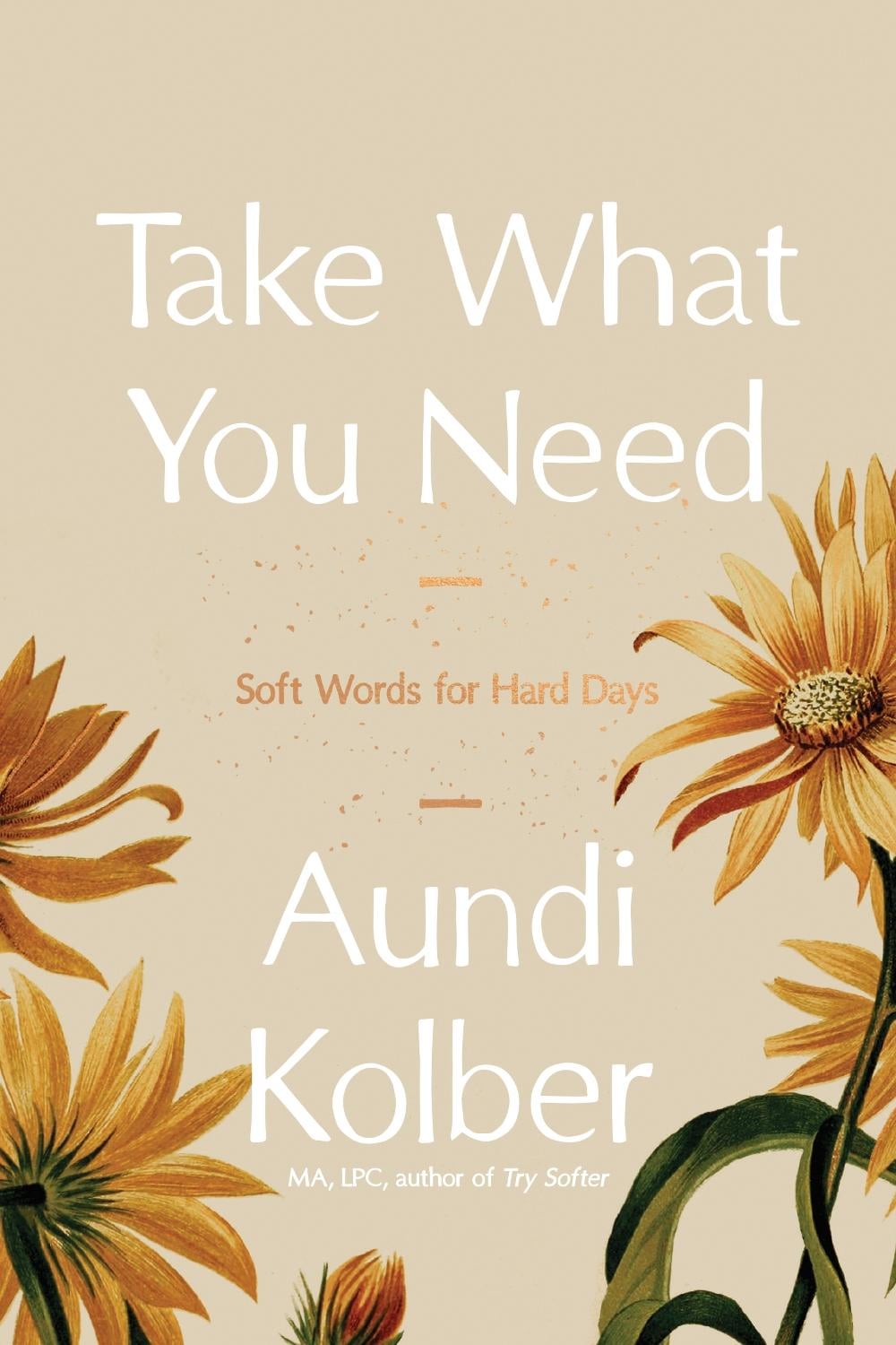 Take What You Need by Aundi Kolber - ISBN: 9798400503474