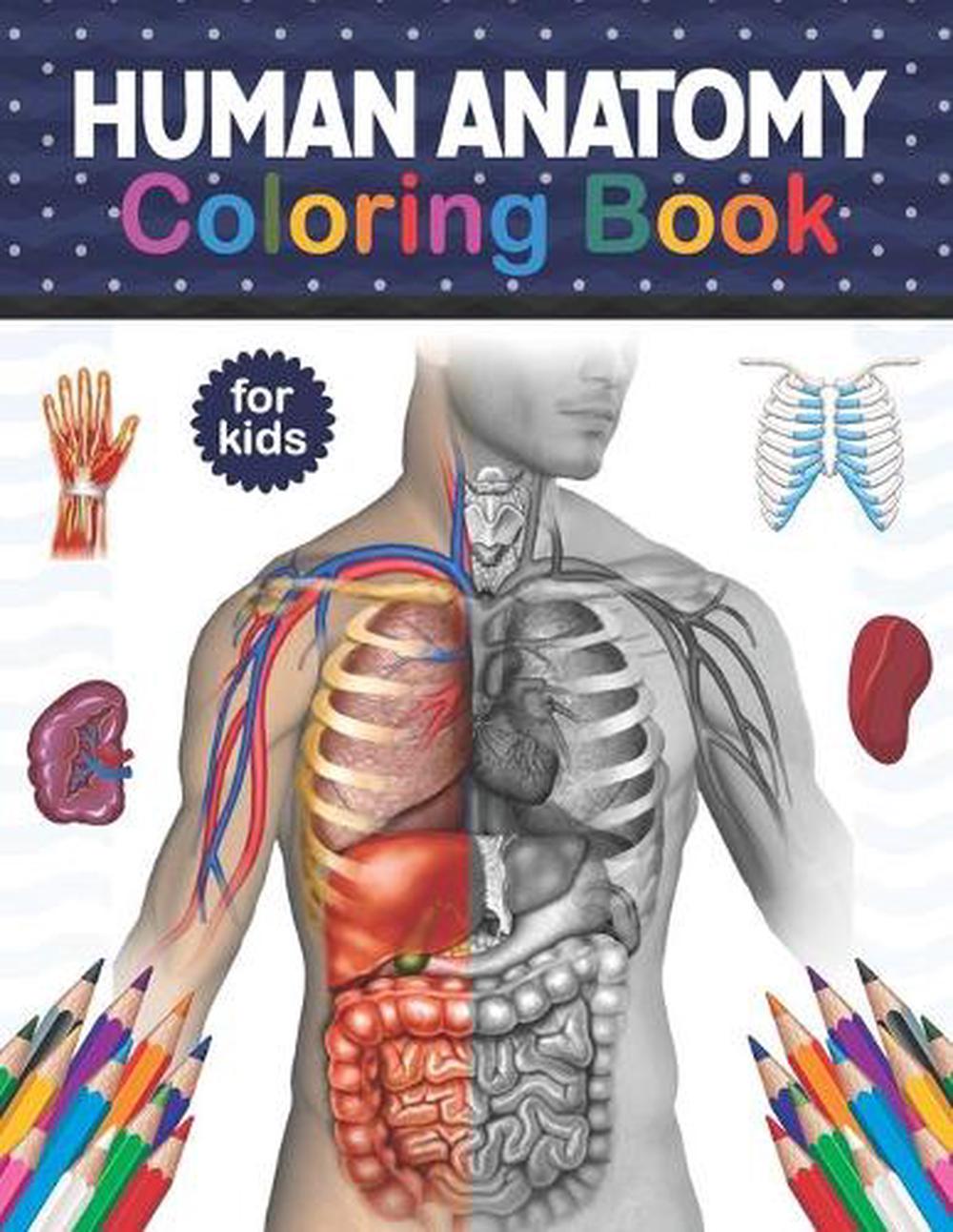 Download Human Anatomy Coloring Book For Kids By Jarniczell Publication Paperback 9798566787909 Buy Online At Moby The Great