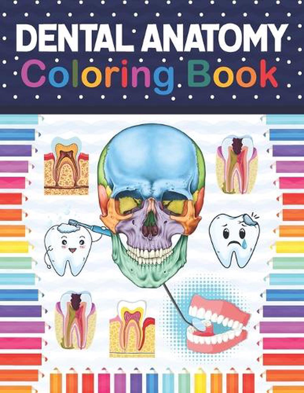 Download Dental Anatomy Coloring Book By Samniczell Publication Paperback 9798568411413 Buy Online At Moby The Great