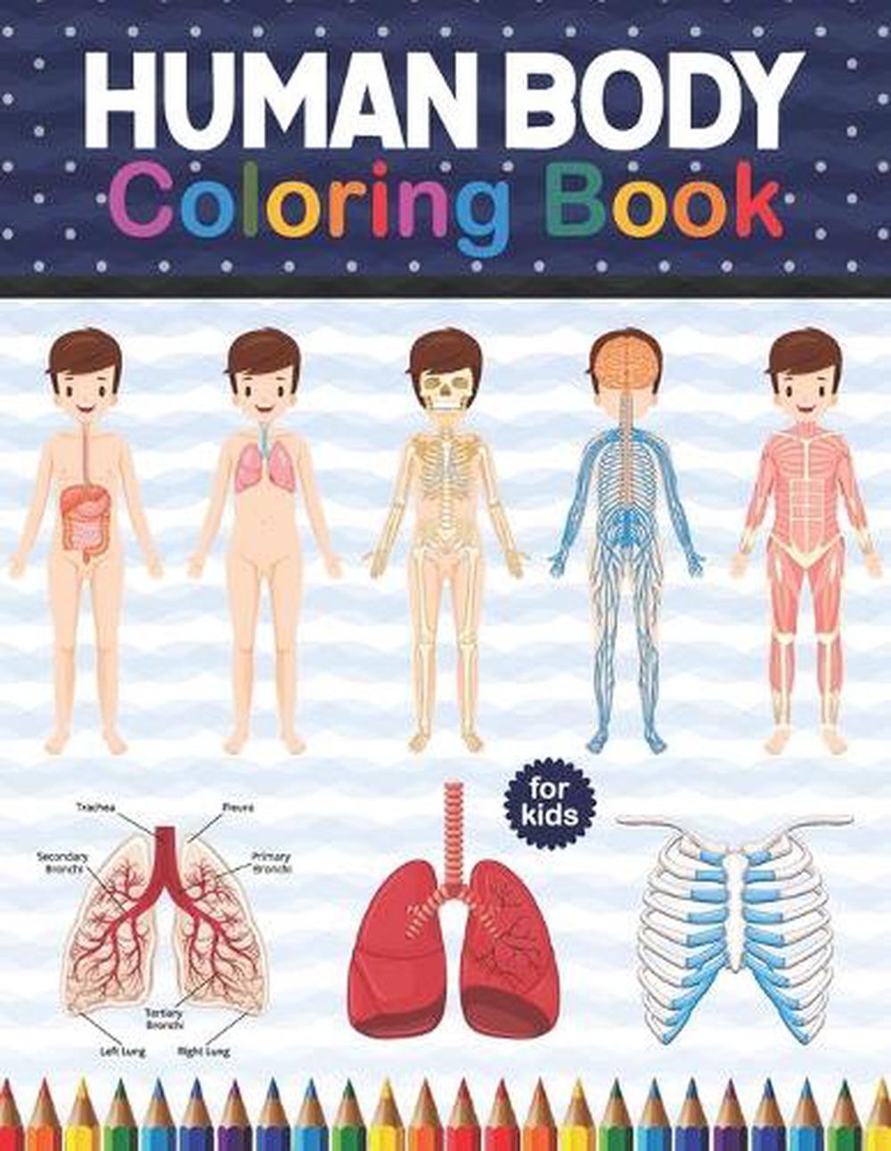 Download Human Body Coloring Book For Kids By Shirkaylene Publication Paperback 9798574228210 Buy Online At Moby The Great