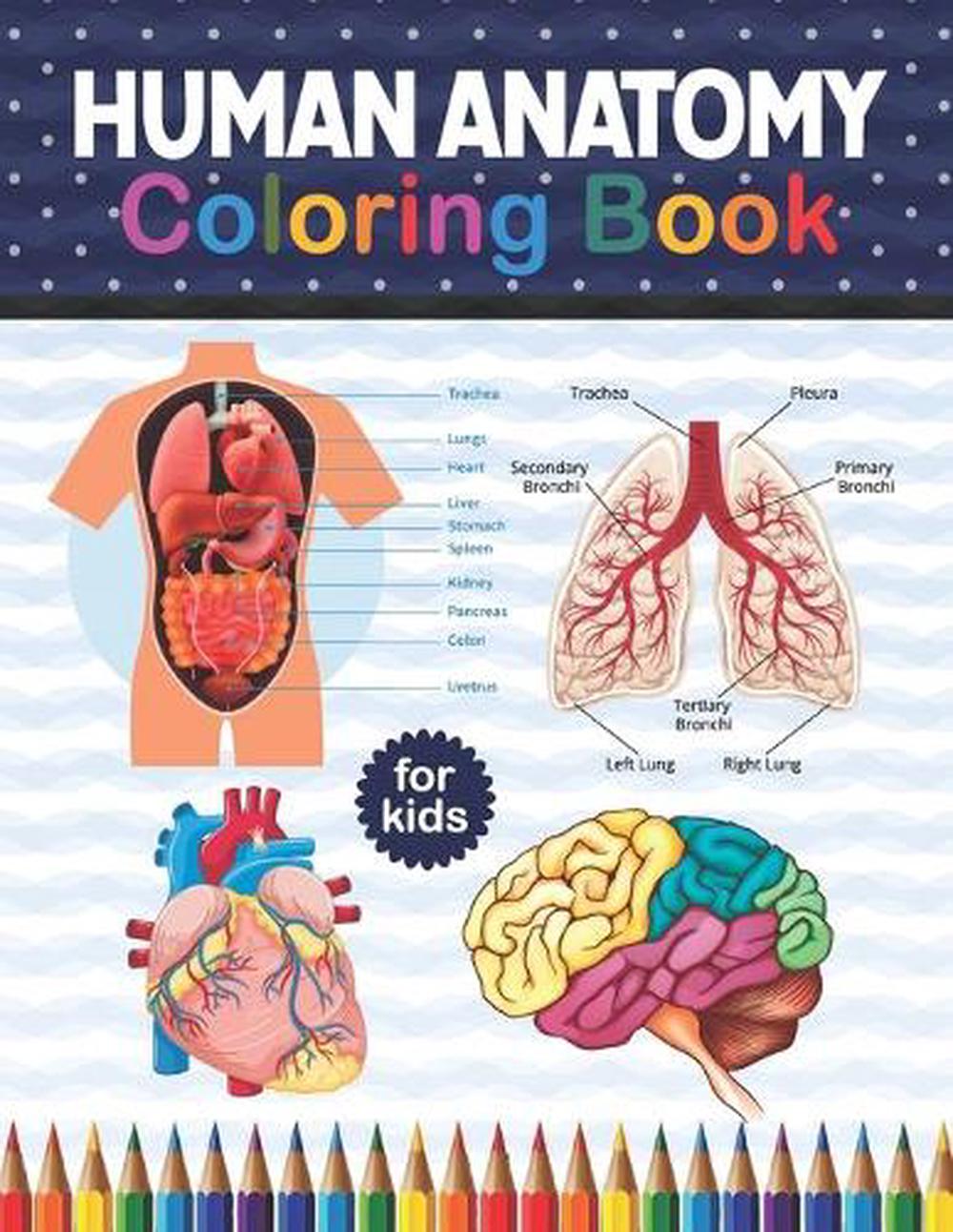 Download Human Anatomy Coloring Book For Kids By Shirkaylene Publication Paperback 9798575700463 Buy Online At Moby The Great