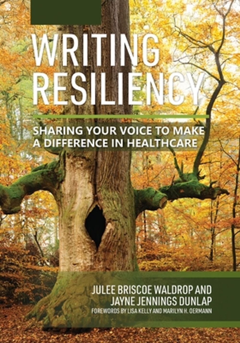 Writing Resiliency by Julee Briscoe Waldrop - ISBN: 9798823380645