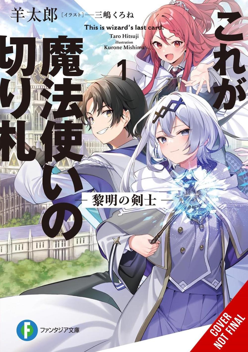 This Is the Wizard’s Secret Weapon, Vol. 1 (light novel) by Taro Hitsuji - ISBN: 9798855408690