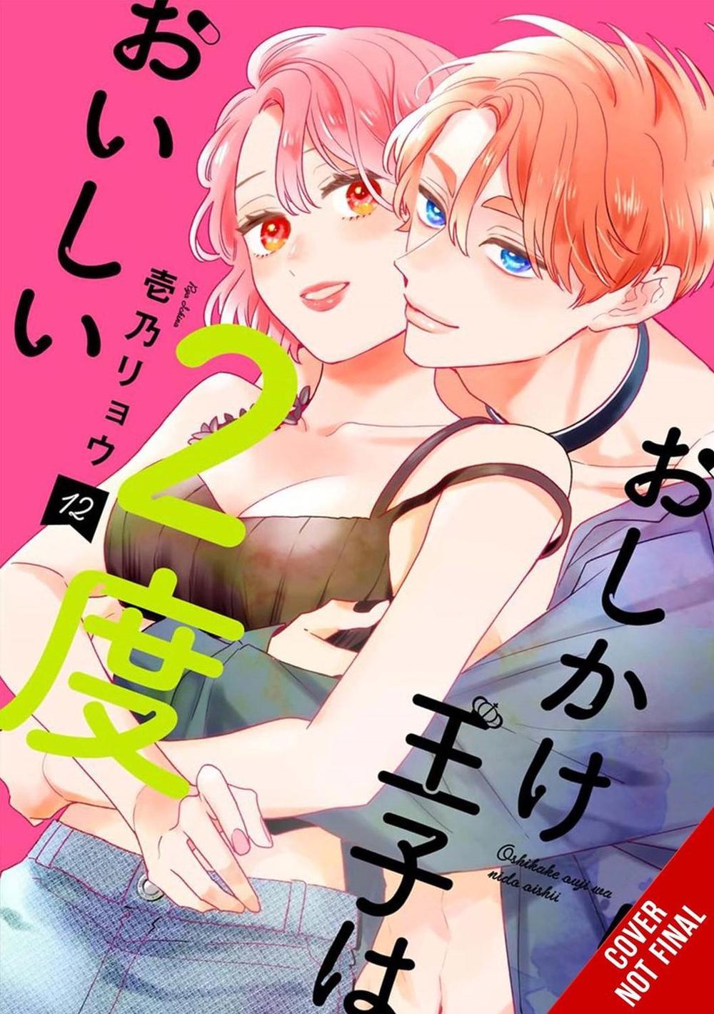 Double the Trouble, Twice as Nice, Vol. 2 by Ryo Ichino - ISBN: 9798855408942