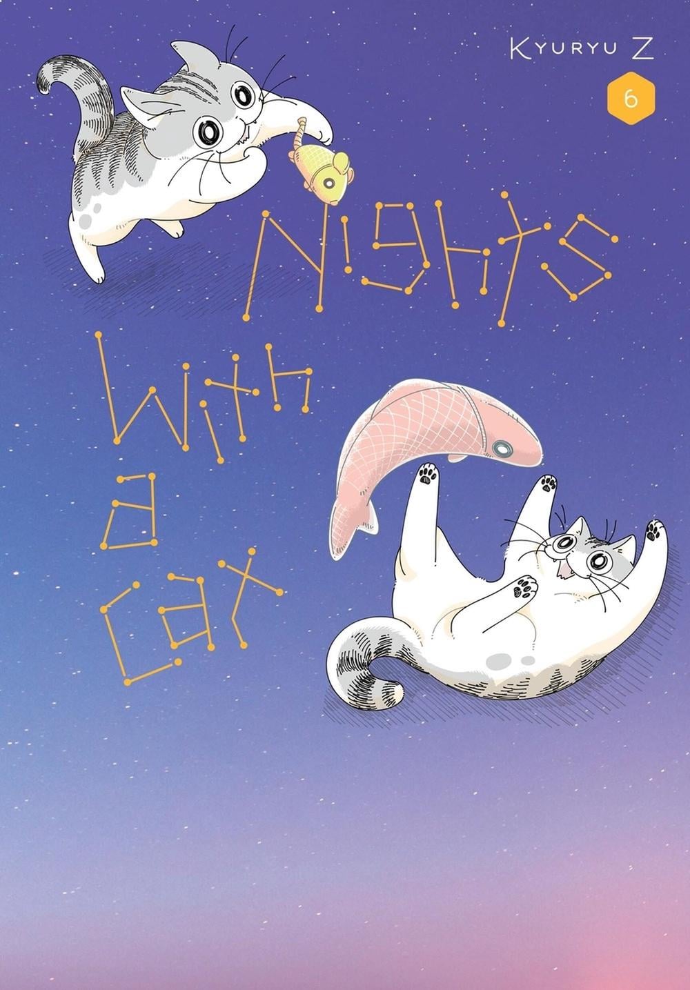 Nights with a Cat, Vol. 6 by Stephen Paul - ISBN: 9798855414721