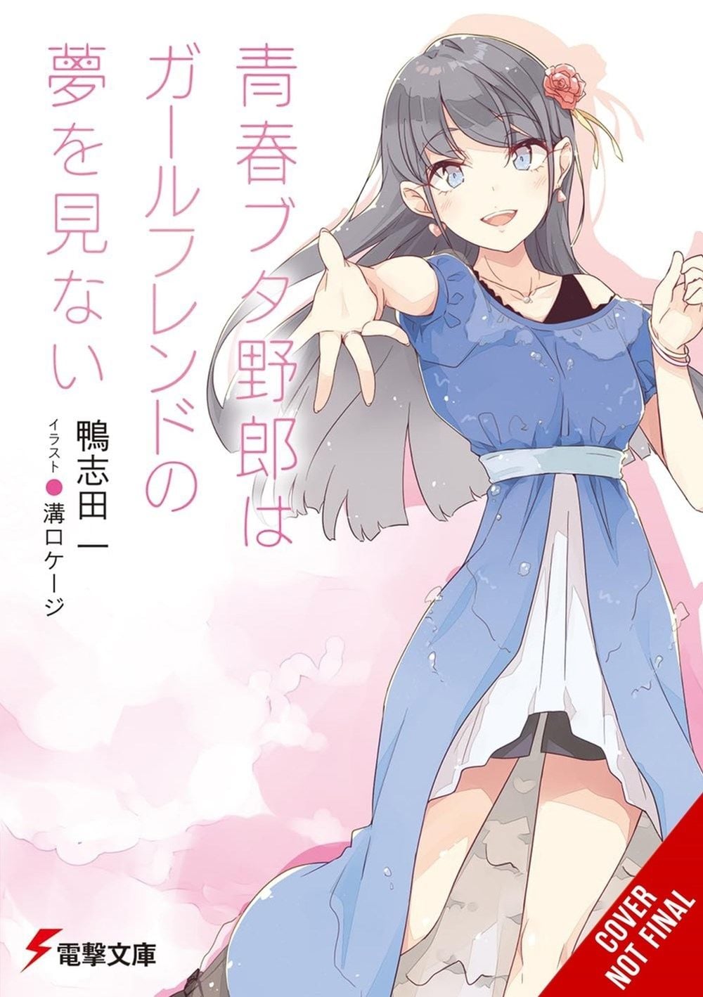Rascal Does Not Dream of His Girlfriend (light novel) by Hajime Kamoshida - ISBN: 9798855418293