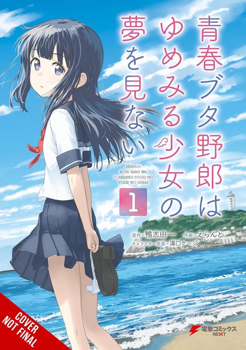 Rascal Does Not Dream of a Dreaming Girl (manga) by Hajime Kamoshida - ISBN: 9798855425772
