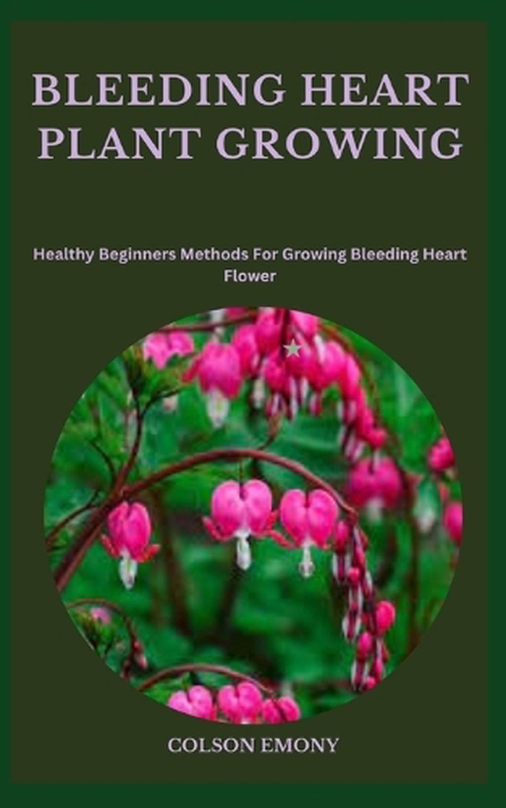 Bleeding Heart Plant Growing, 9798859698998