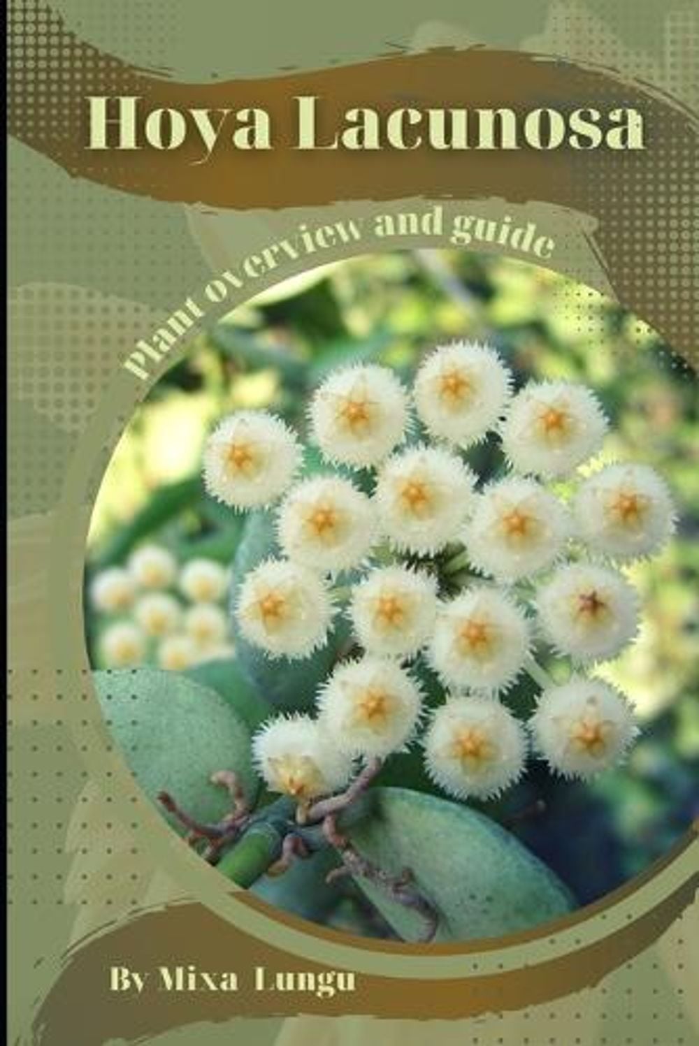 Hoya Lacunosa by Mixa Lungu - ISBN: 9798859980222