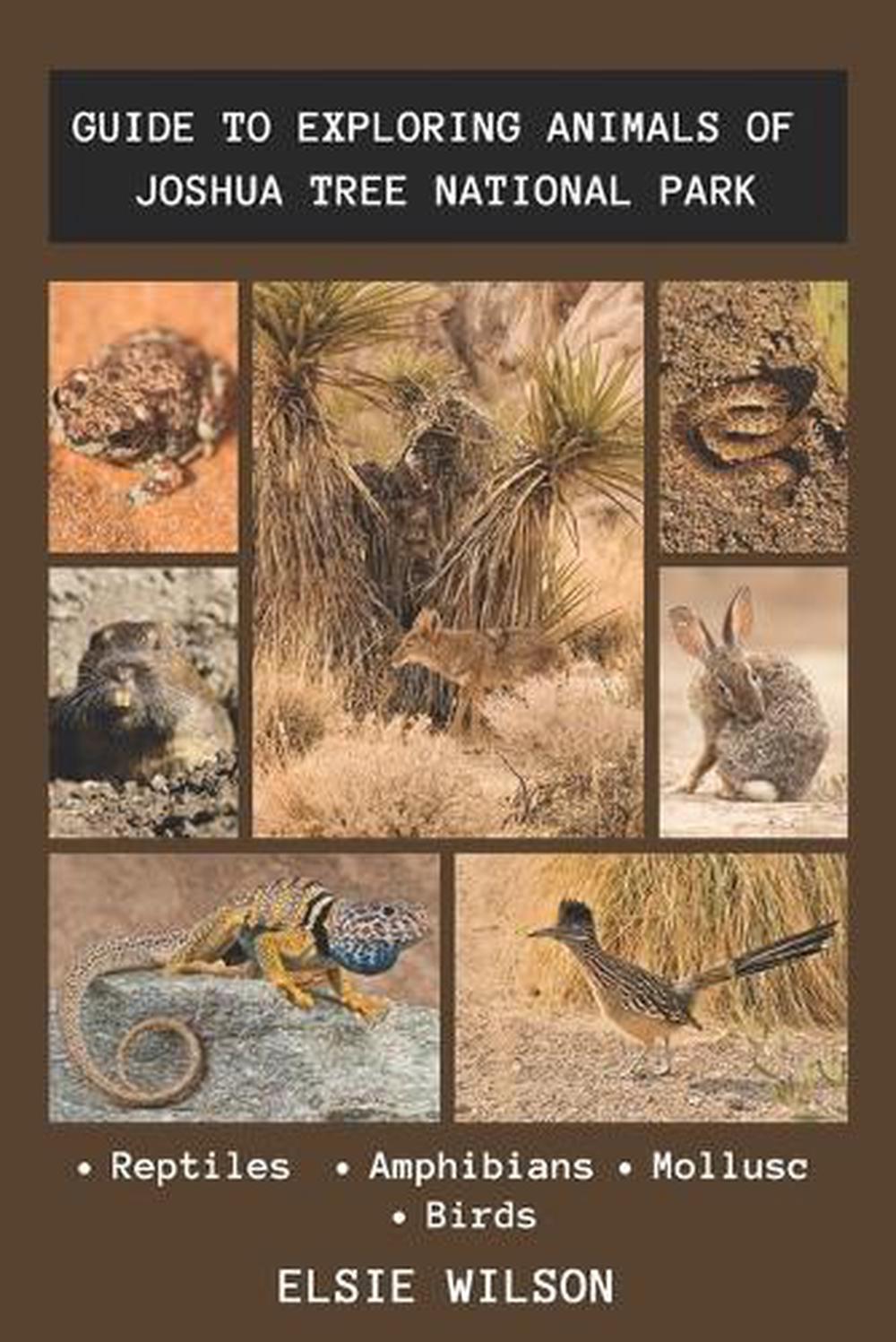 Guide to Exploring Animals of Joshua Tree National Park, 9798865947677