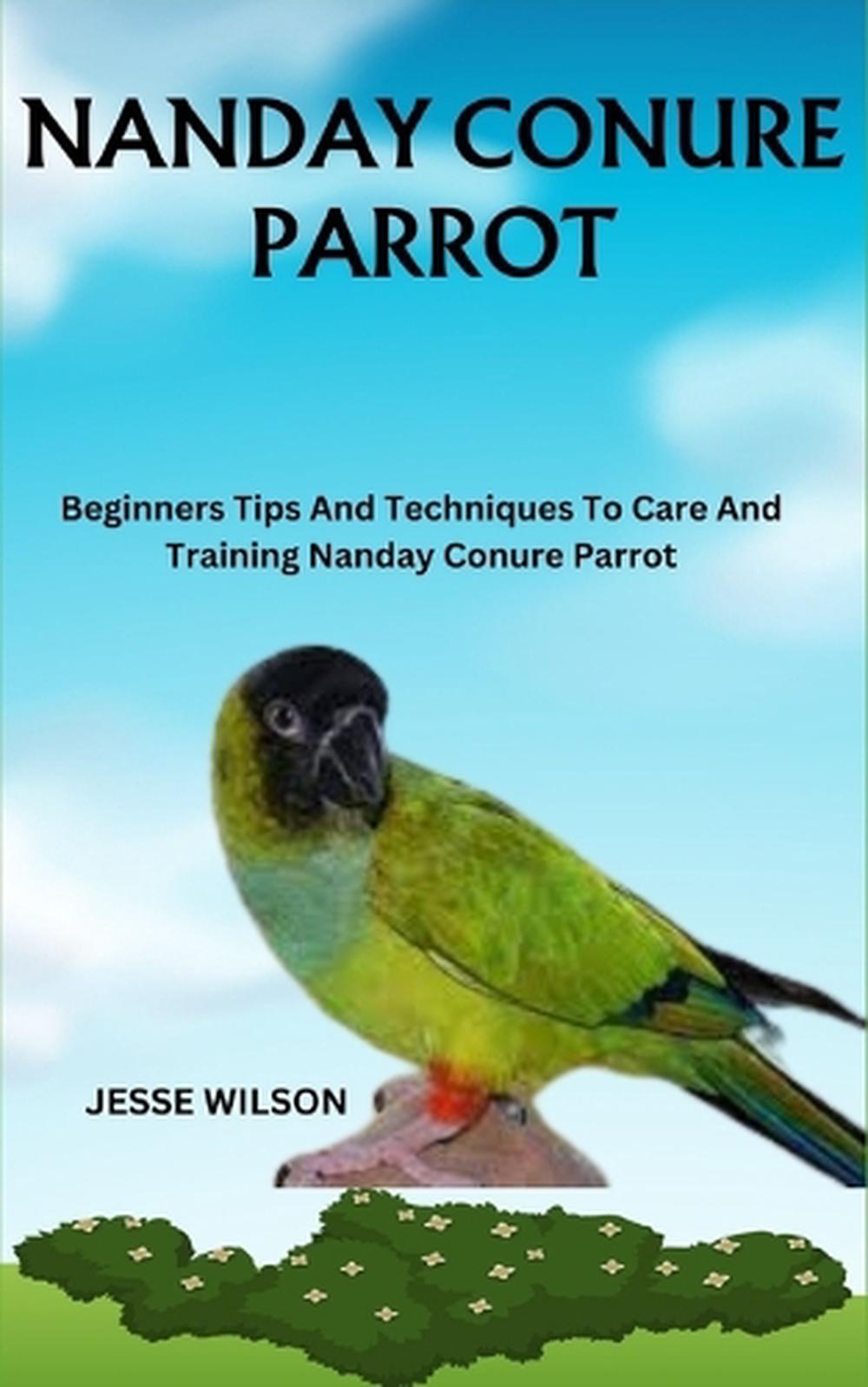 Nanday Conure Parrot, 9798866059669