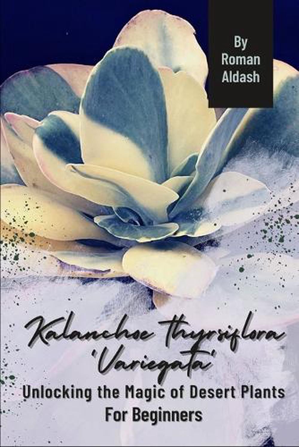 Kalanchoe thyrsiflora 'Variegata', 9798871391983