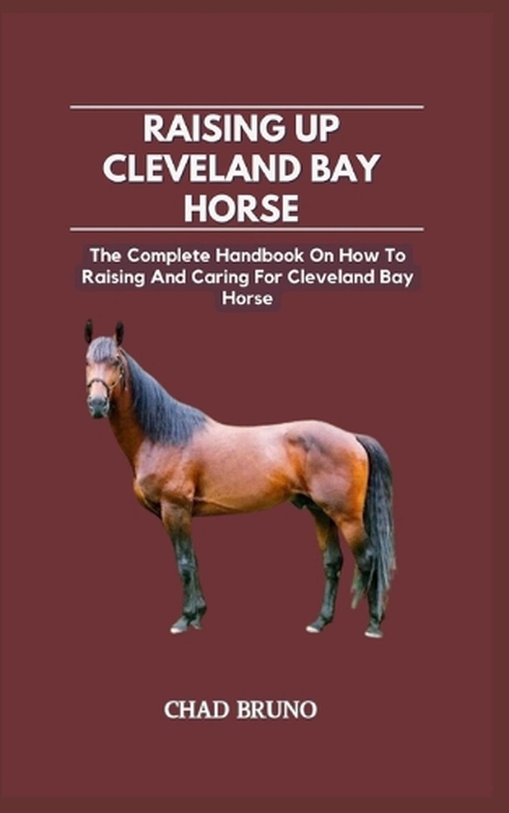 Raising Up Cleveland Bay Horse, 9798872653325