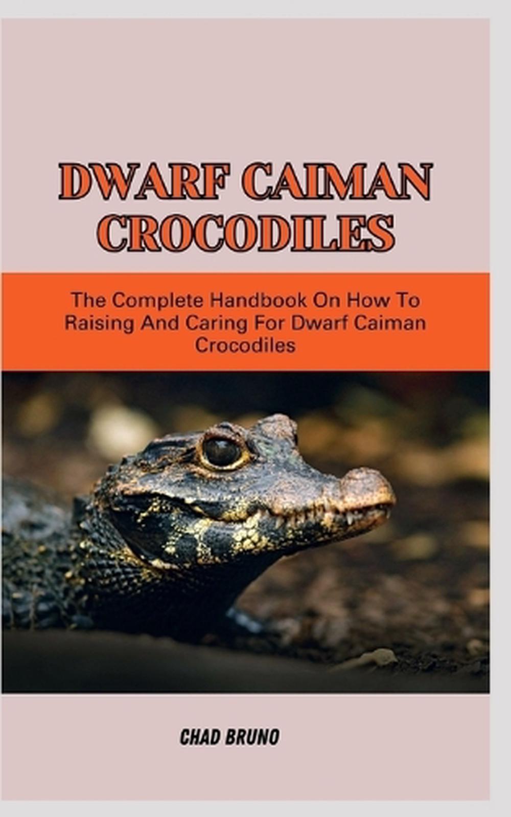 Dwarf Caiman Crocodiles, 9798873322954