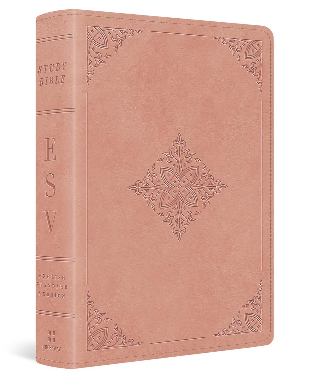 ESV Study Bible, Personal Size, 9798874900274