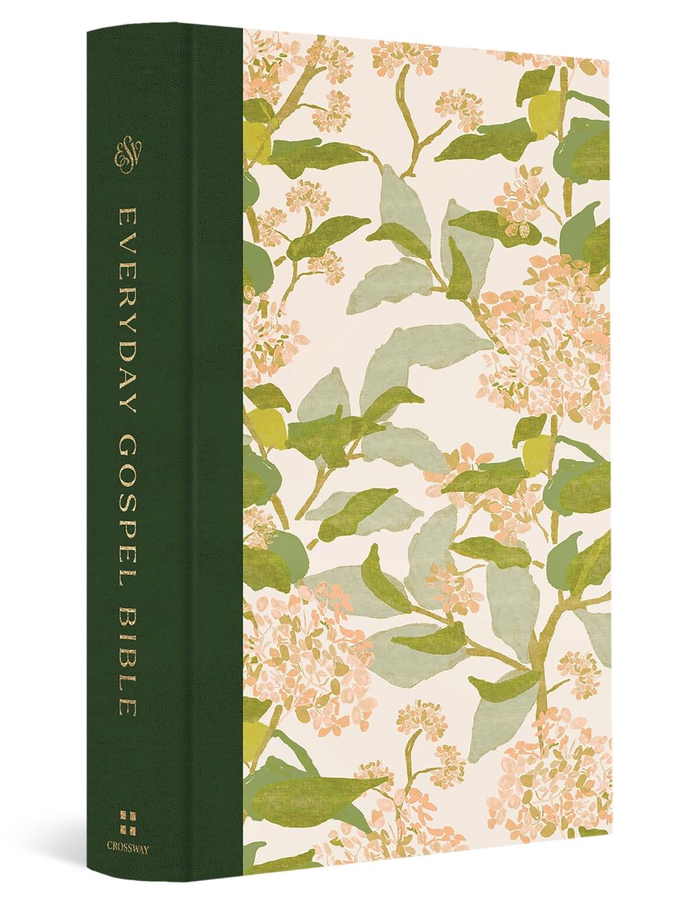ESV Everyday Gospel Bible, Artist Series by Paul David Tripp - ISBN: 9798874900410