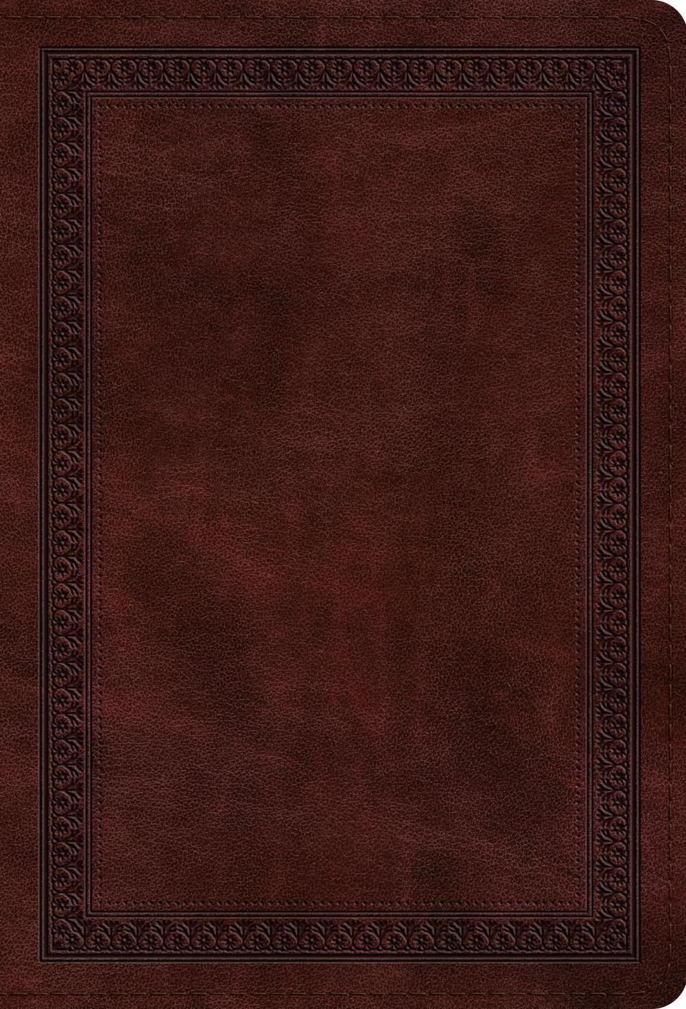 ESV Large Print Compact Bible, Red Letter, 9798874902995