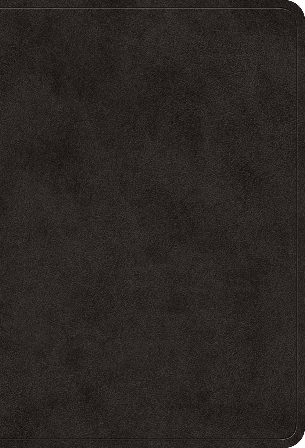 ESV Value Large Print Compact Bible, 9798874903053