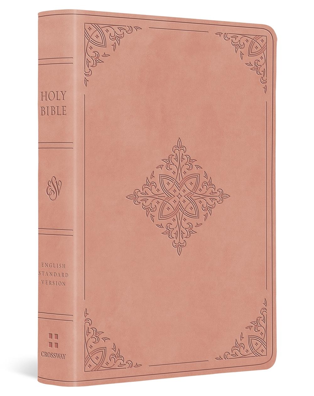 ESV Value Large Print Compact Bible, 9798874903077