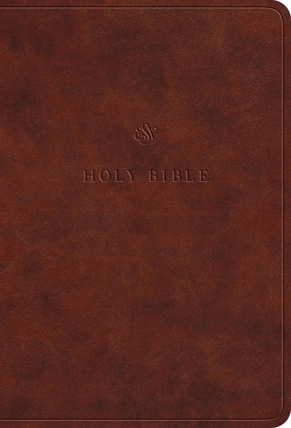 ESV Value Large Print Compact Bible, 9798874903084
