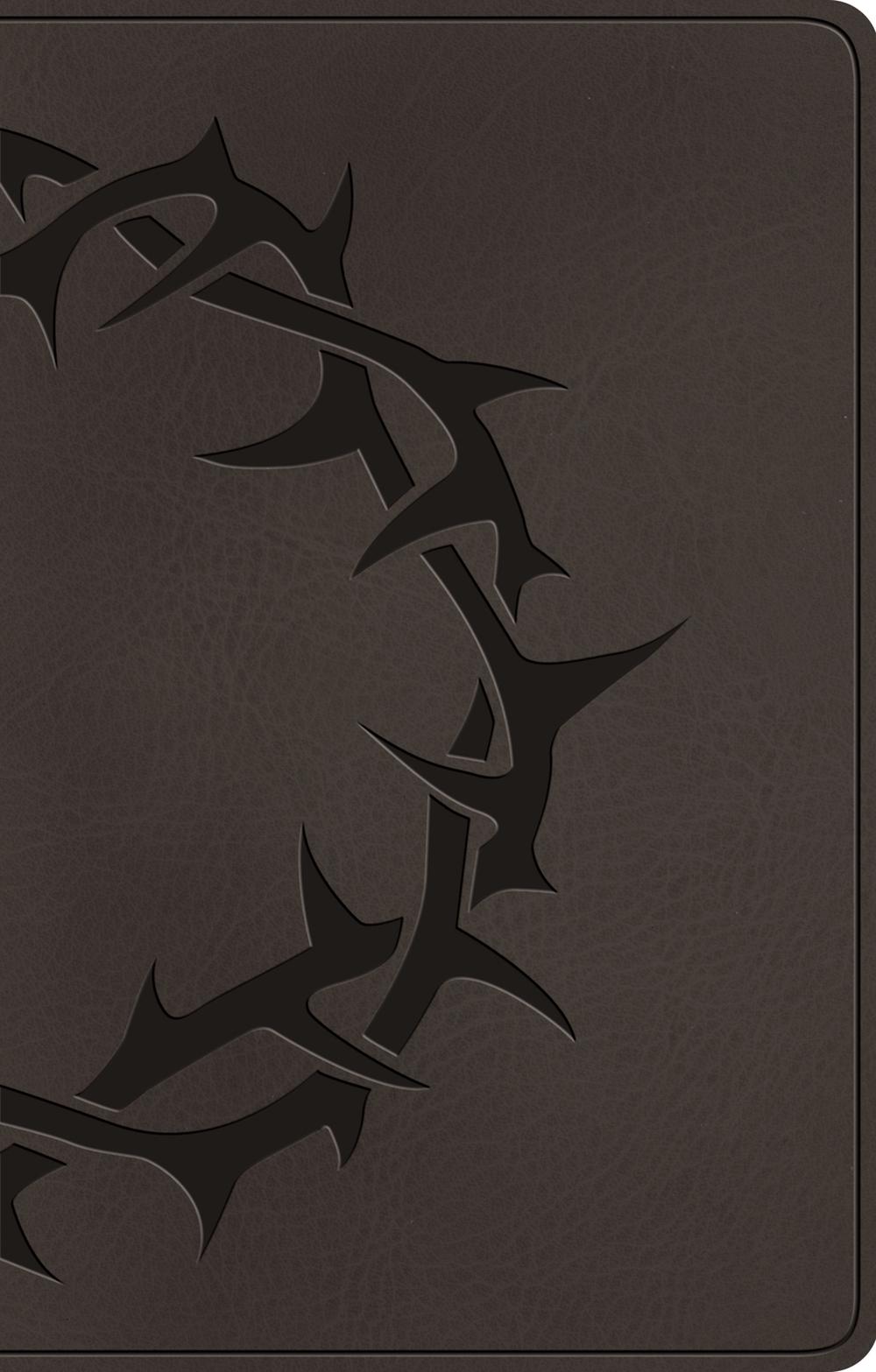 ESV Premium Gift Bible - ISBN: 9798874903121