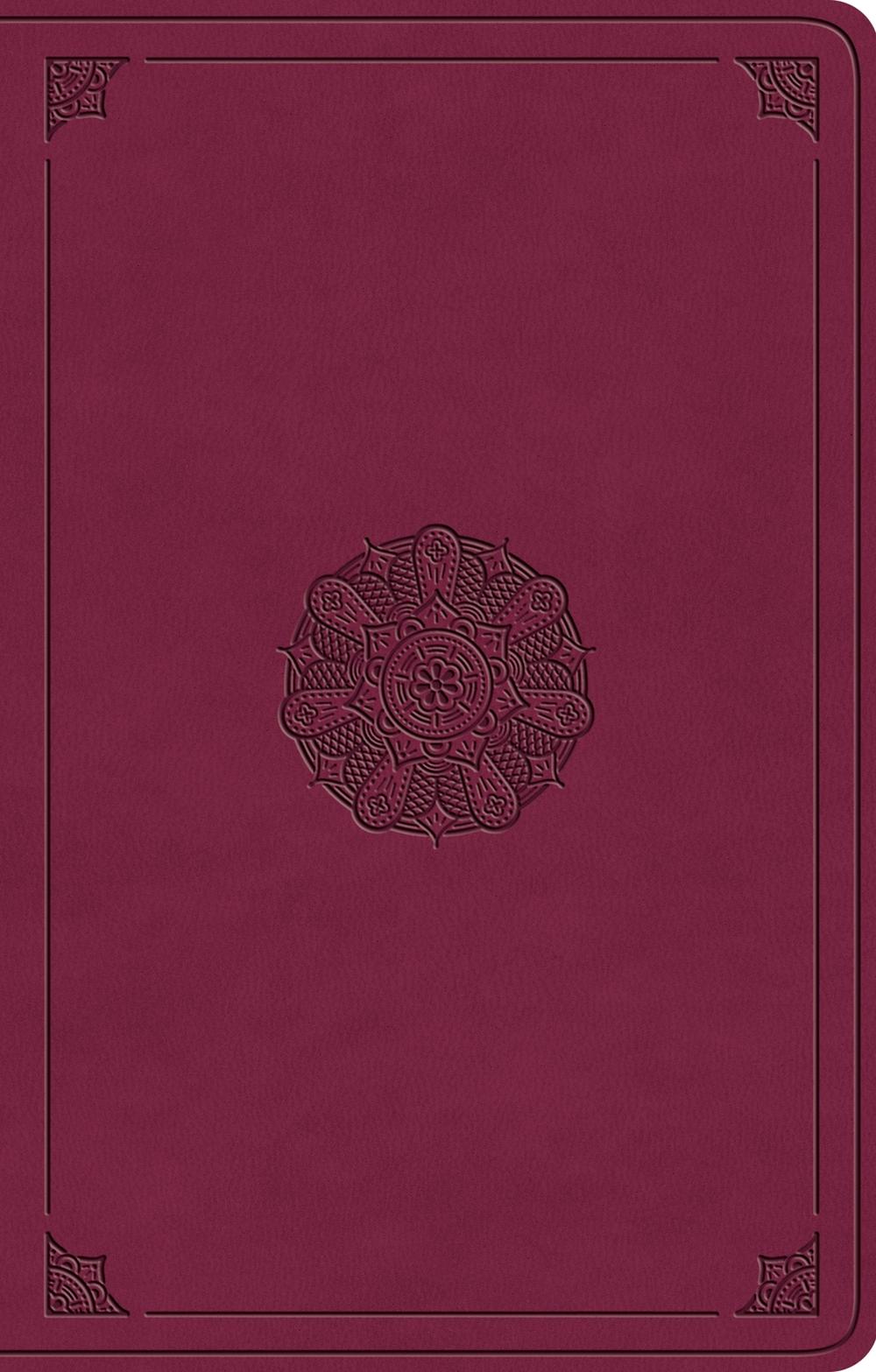 ESV Premium Gift Bible, 9798874903183