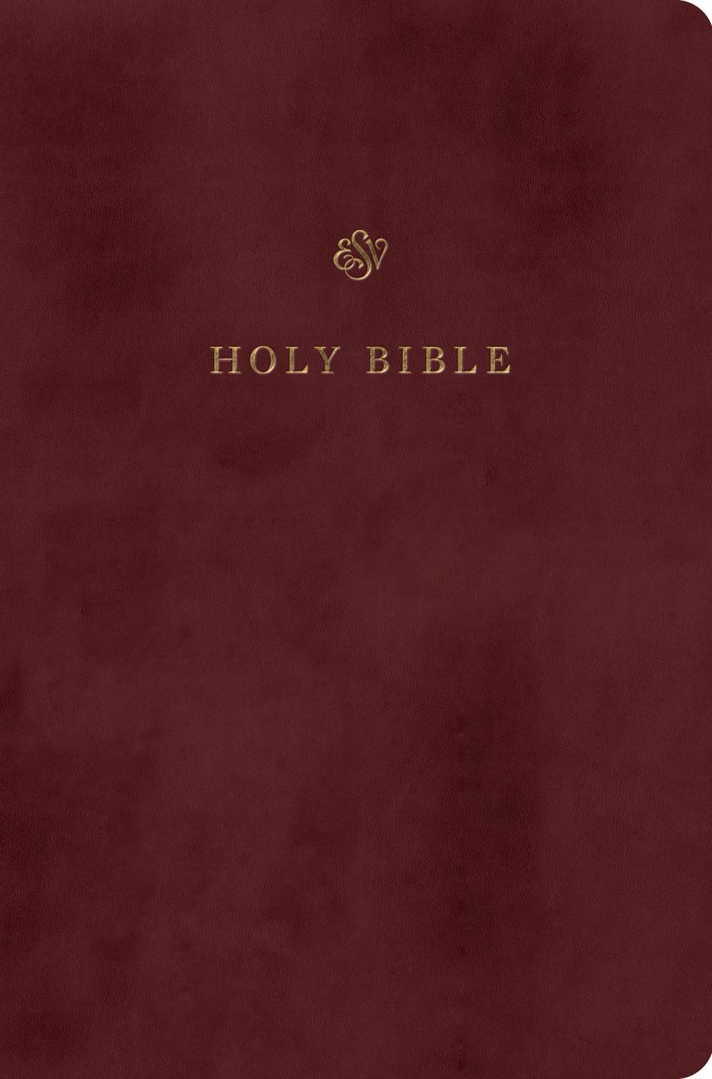 ESV Gift and Award Bible, 9798874903510