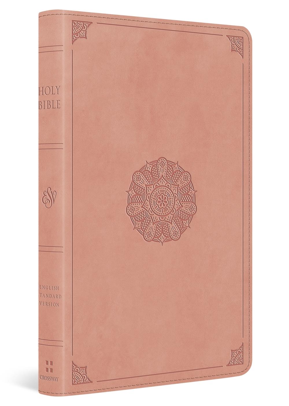 ESV Thinline Bible, 9798874903527