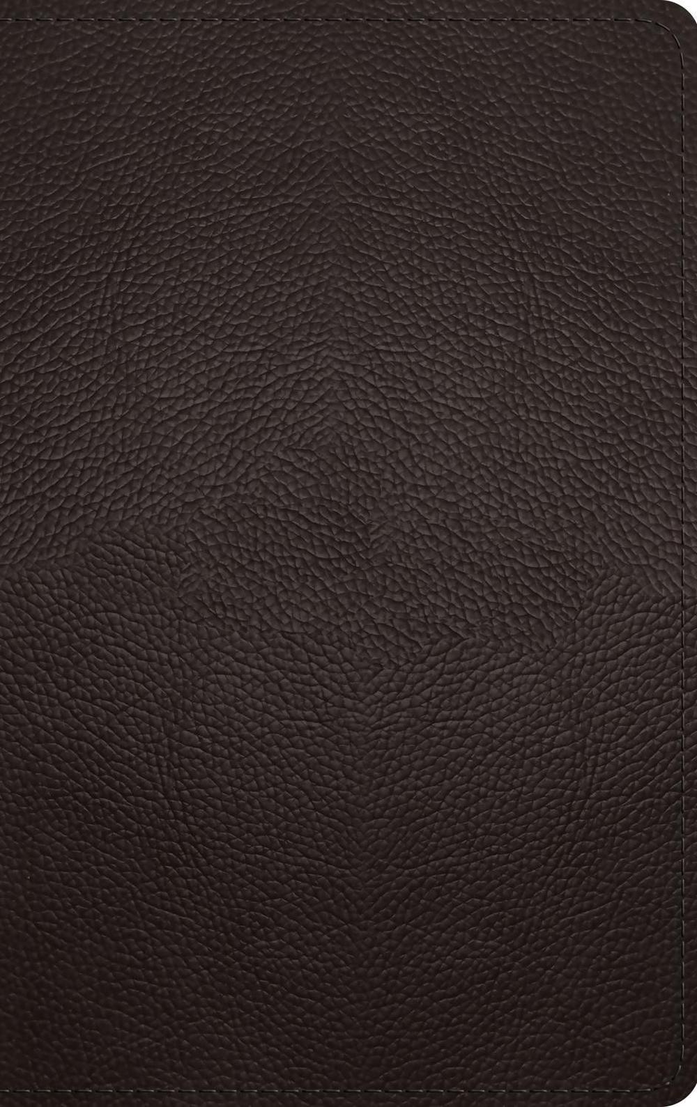ESV Thinline Bible, Red Letter, 9798874903640