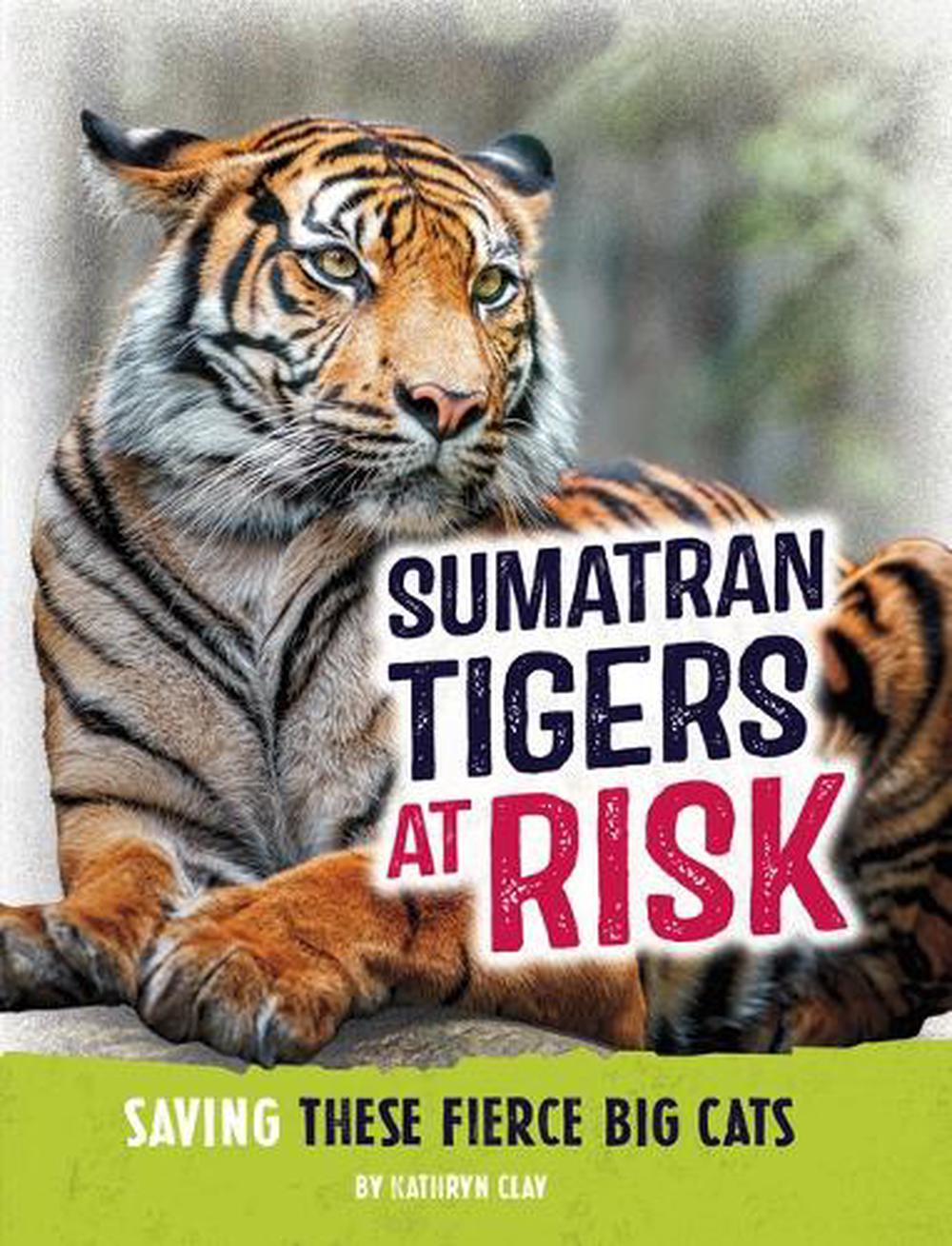 Animals at Risk Sumatran Tiger by Kathryn Clay, Paperback ...