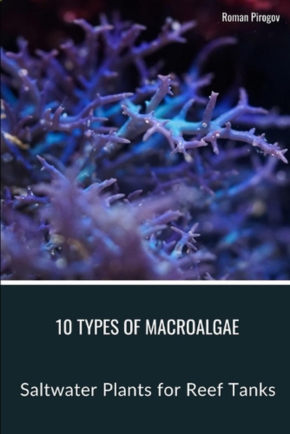 10 Types of Macroalgae, 9798876161079