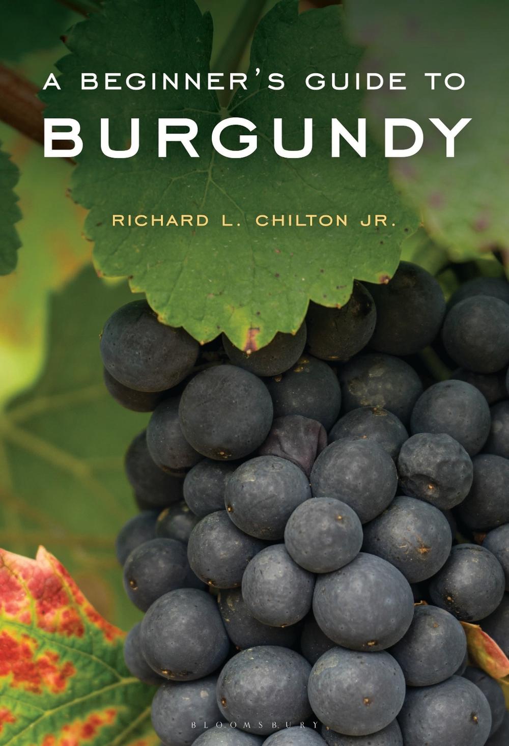 A Beginner's Guide to Burgundy, 9798881800529