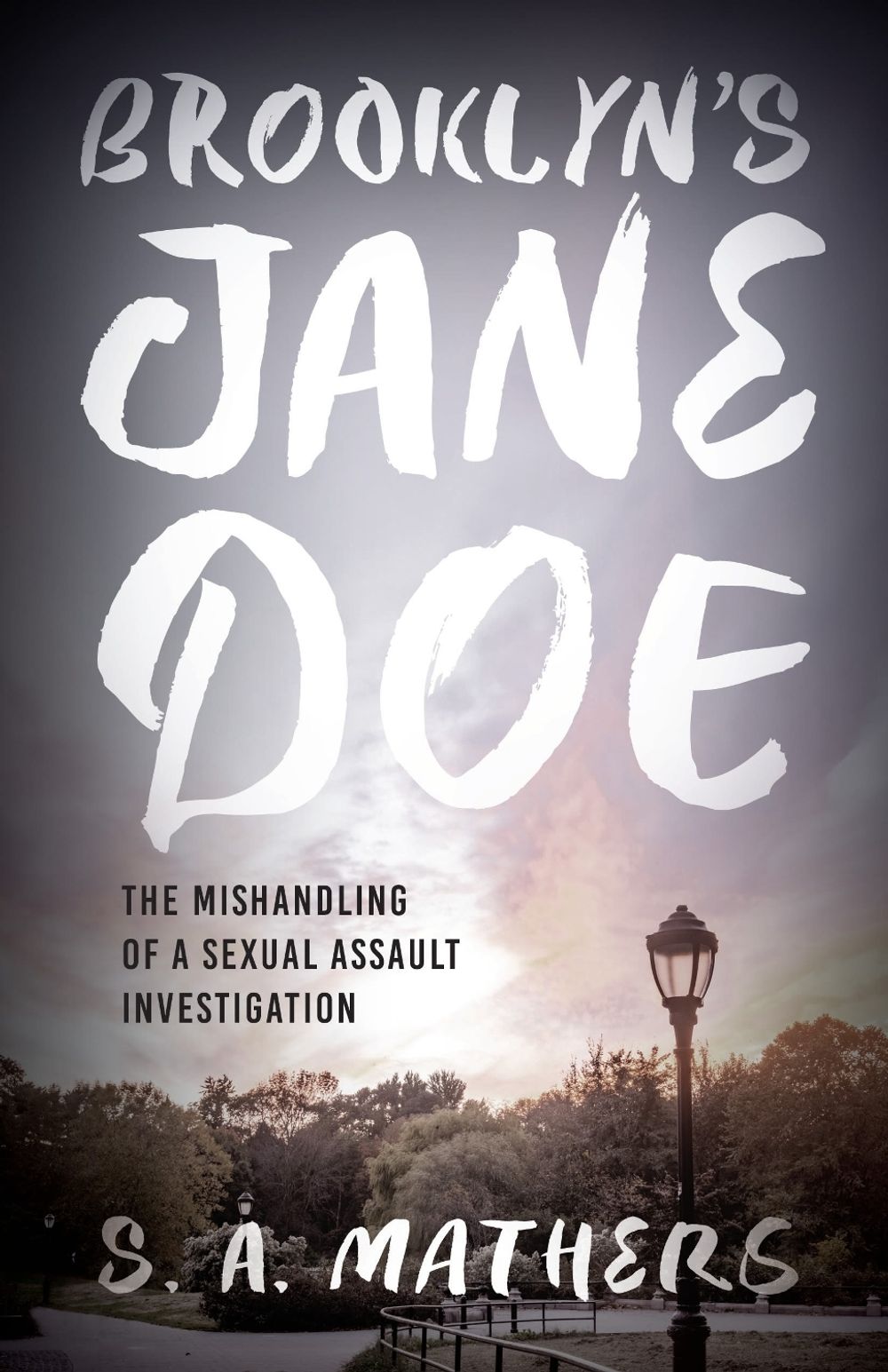 Brooklyn's Jane Doe by S.A. Mathers - ISBN: 9798881808198