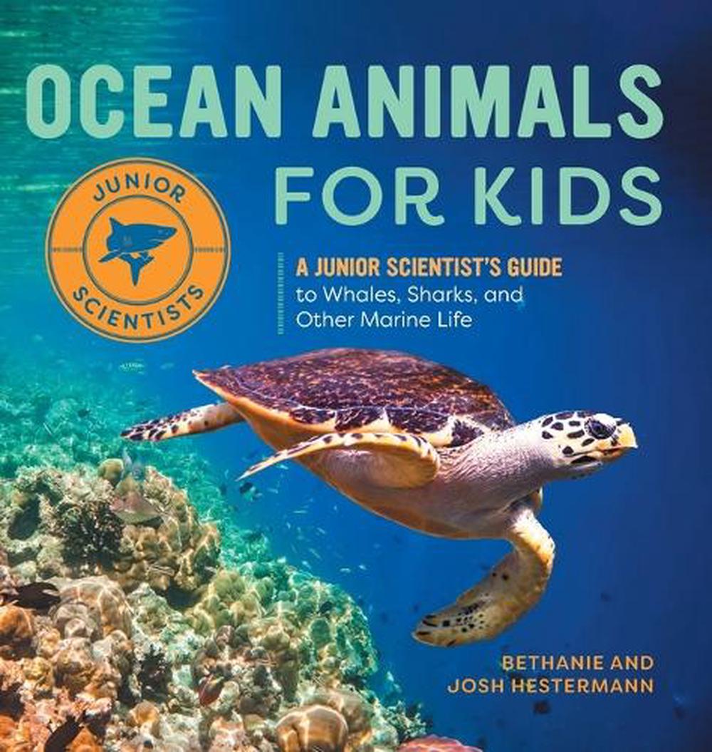 Ocean Animals for Kids, 9798886086652