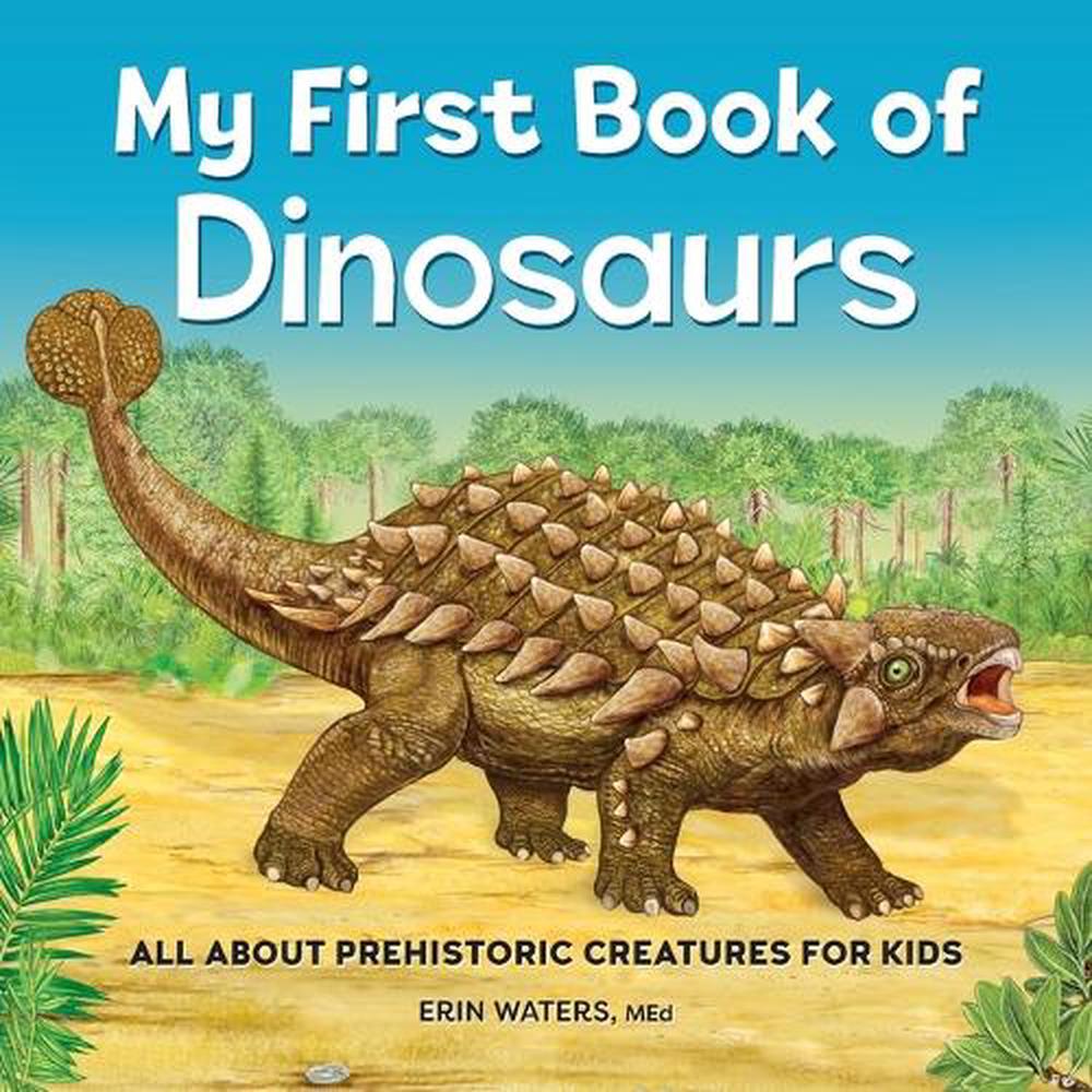 My First Book of Dinosaurs, 9798886087727