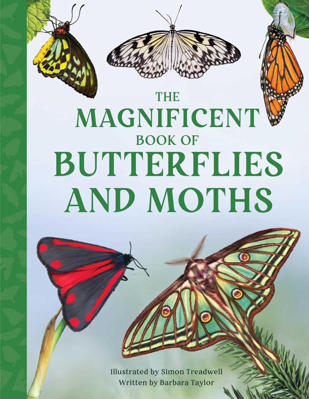The Magnificent Book of Butterflies and Moths by Barbara Taylor - ISBN: 9798886740332